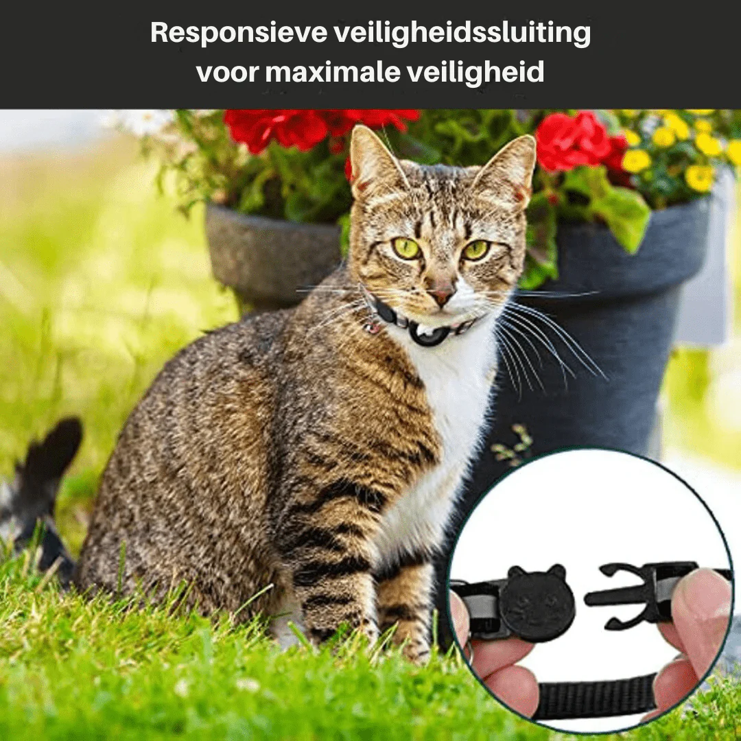 Productafbeelding 6