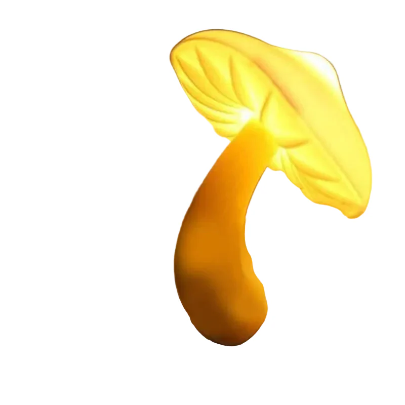 Productafbeelding 1