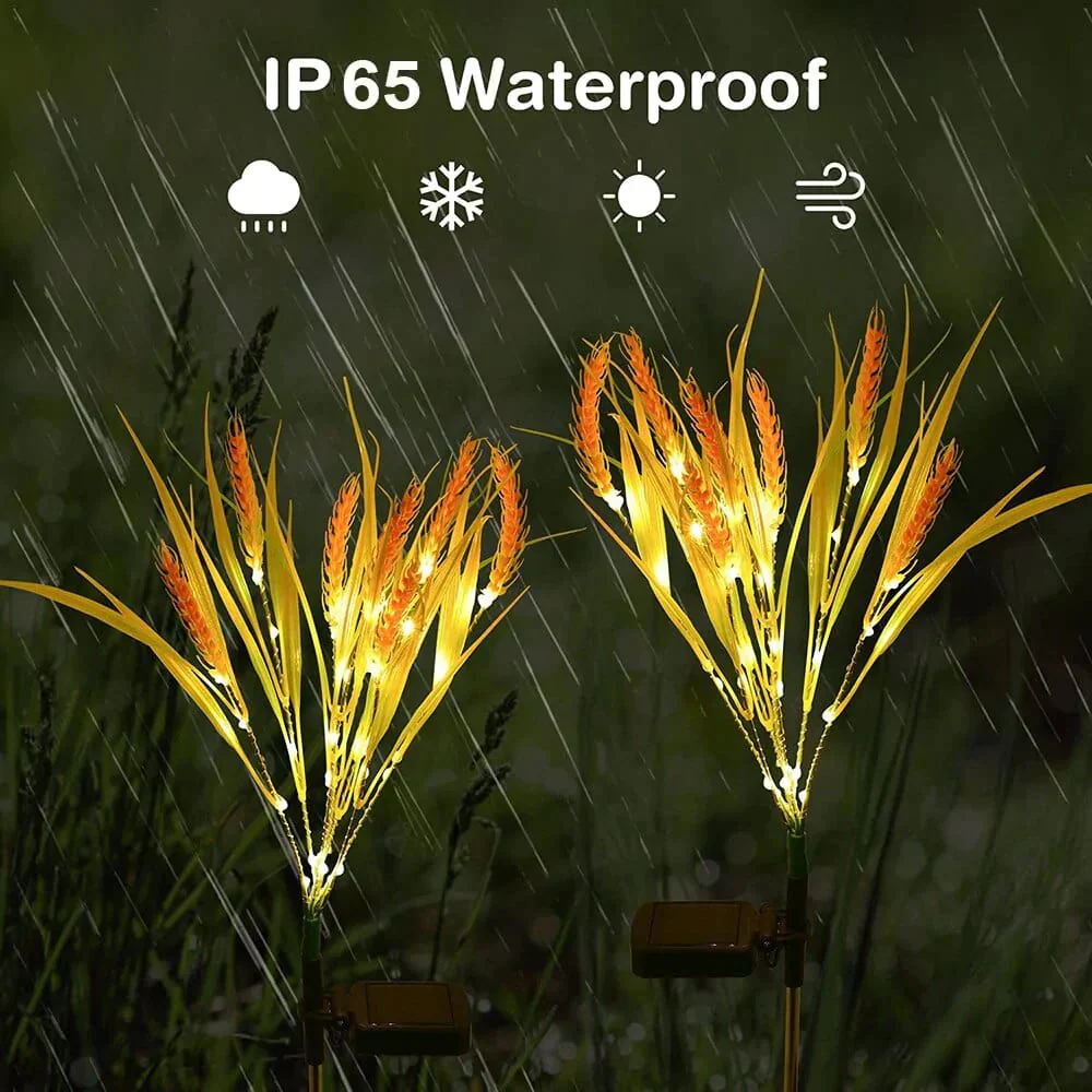 Productafbeelding 6